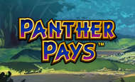 Panther Pays