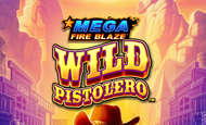 Wild Pistolero