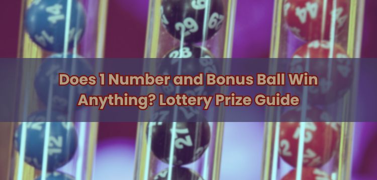 Does 1 Number and Bonus Ball Win Anything? Lottery Prize Guide
